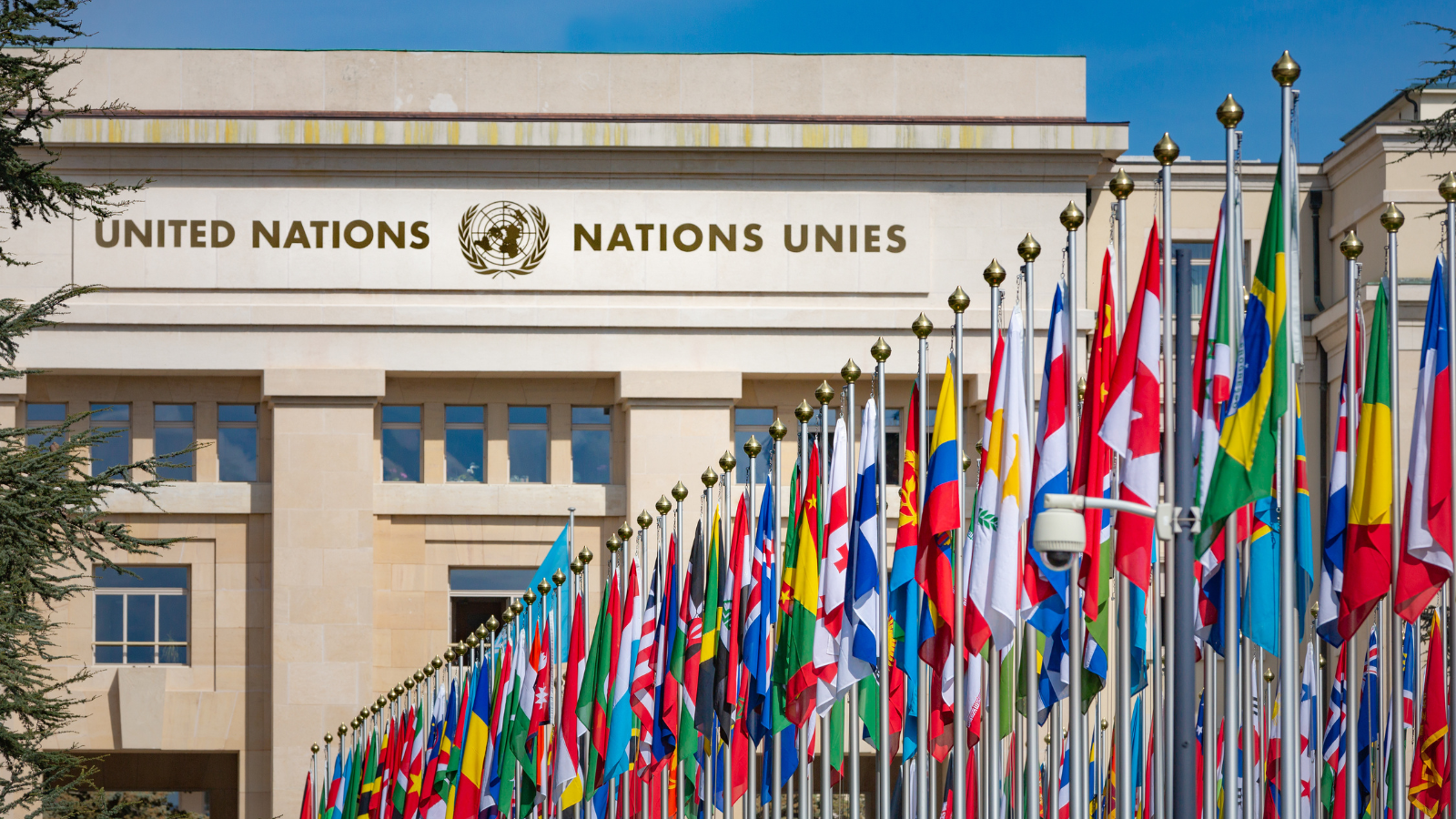 AFR: Declarație comună cu privire la protejarea copiilor de ideologia de gen, în plenul ONU